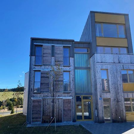 Miky Apartman Klinovec View Loučná pod Klínovcem Dış mekan fotoğraf