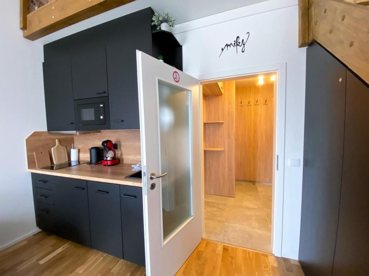 Miky Apartman Klinovec View Loučná pod Klínovcem Dış mekan fotoğraf