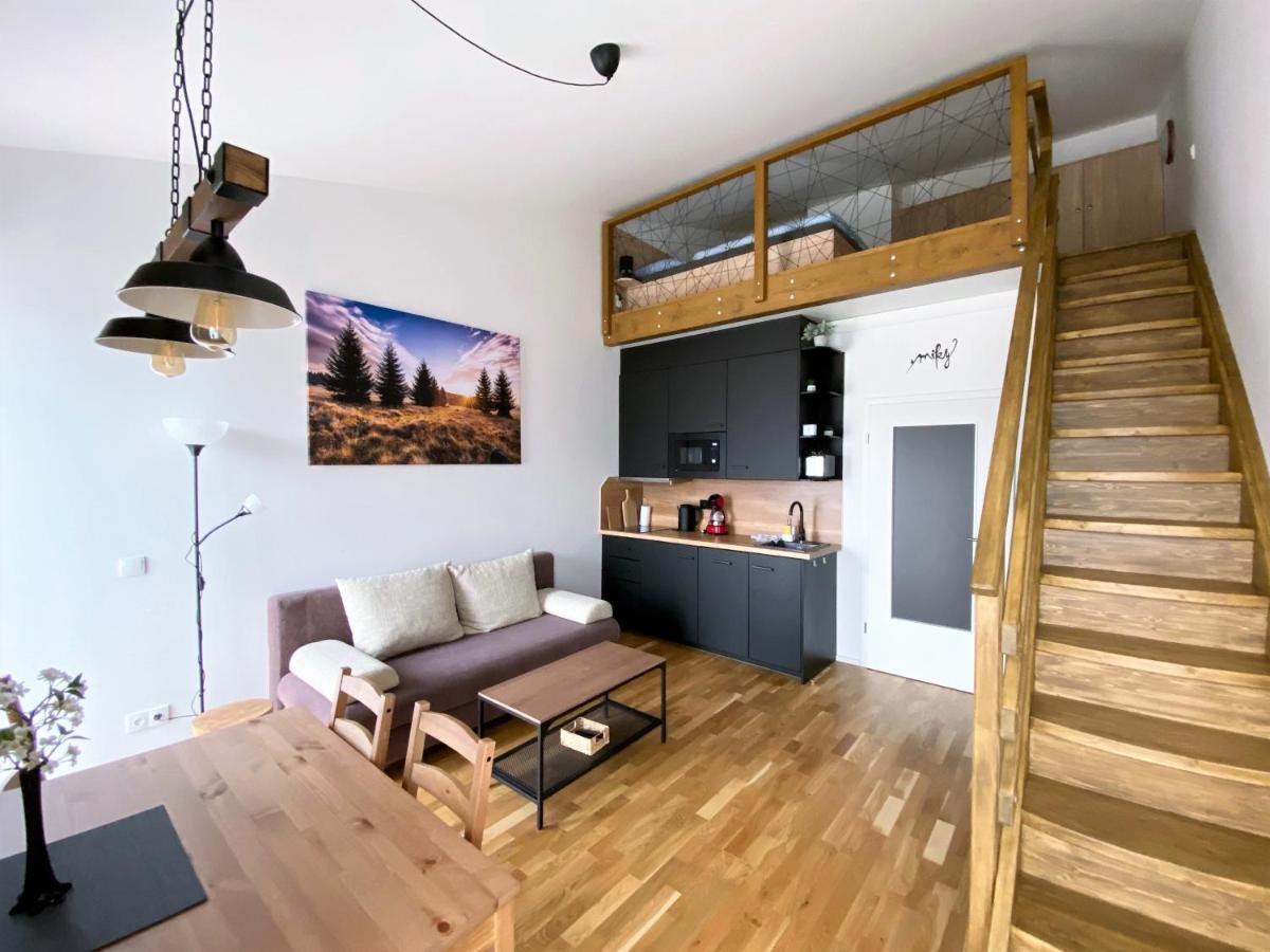 Miky Apartman Klinovec View Loučná pod Klínovcem Dış mekan fotoğraf