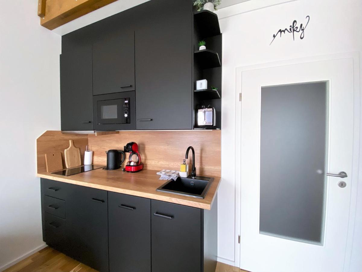 Miky Apartman Klinovec View Loučná pod Klínovcem Dış mekan fotoğraf